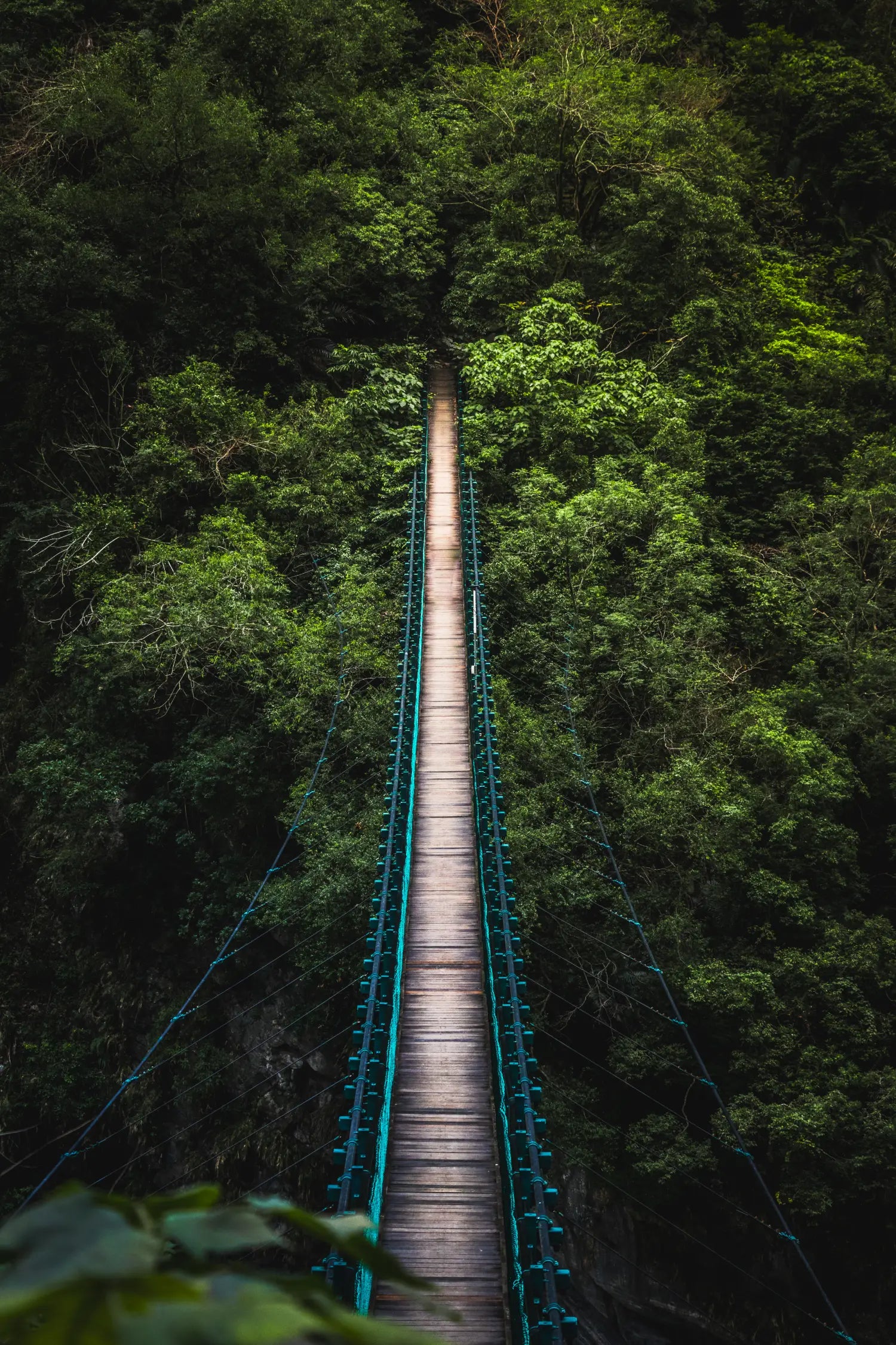 Le pont