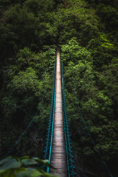 Le pont