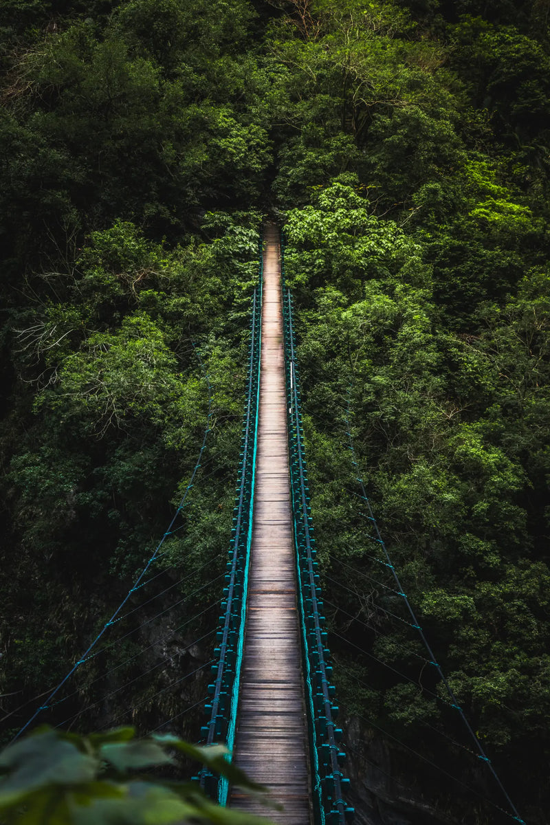 Le pont